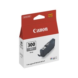 Canon PFI-300/4200C001 Gray Original Cartridge - Canon