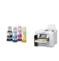 Epson T542 Color Ink Advantage Package - 4