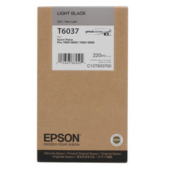 Epson T6037-C13T603700 Light Black Original Cartridge - Epson