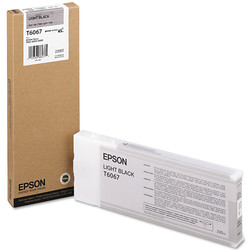 Epson T6067-C13T606700 Light Black Original Cartridge - Epson