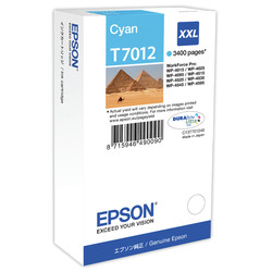 Epson T7012XXL-C13T70124010 Blue Original Cartridge - Epson