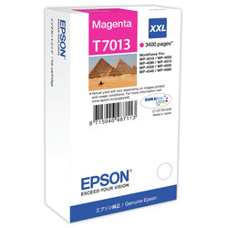 Epson T7013XXL-C13T70134010 Red Original Cartridge - Epson