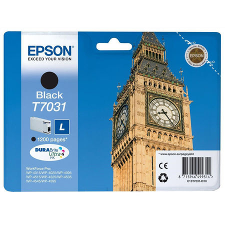 Epson T7031-C13T70314010 Black Original Cartridge - 1