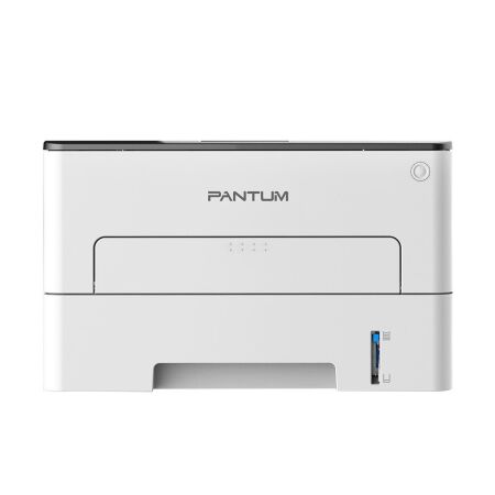 Pantum P3010D Black and White Single Function Laser Printer - 1