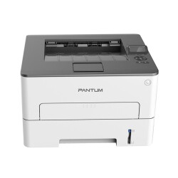 Pantum P3010DW Black and White Laser Printer - 1